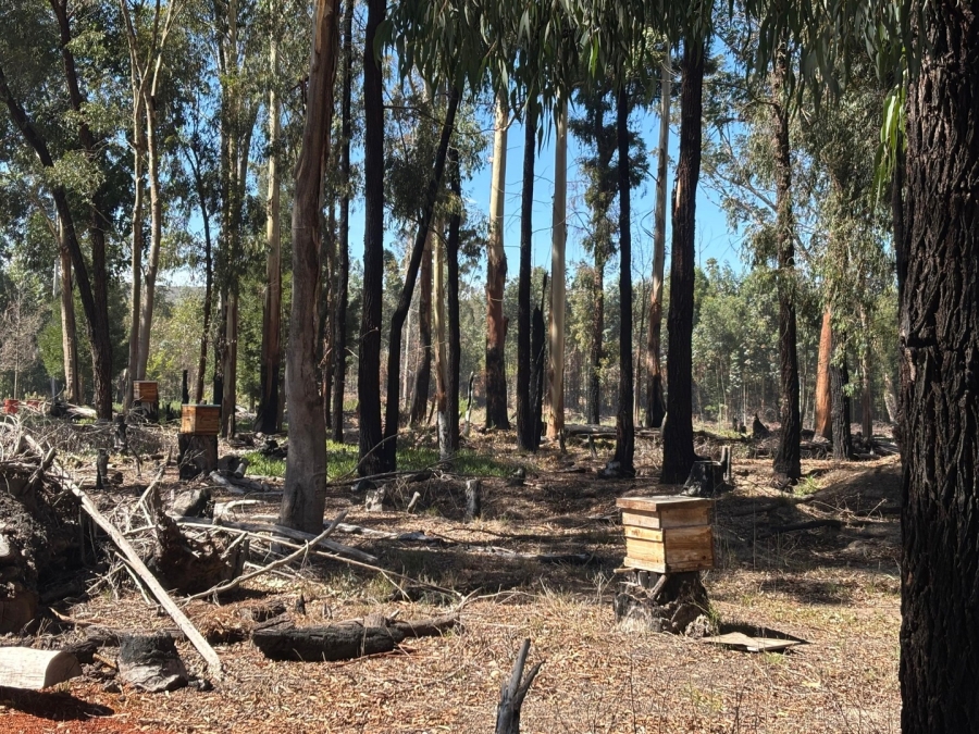 3 Bedroom Property for Sale in Twee Riviere Eastern Cape